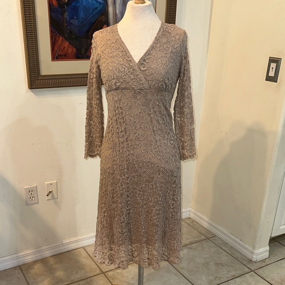 E.R.G. Elegant Champagne Embroidered Lace Dress Size Large
